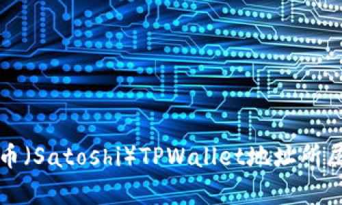 聪本聪币（Satoshi）TPWallet地址所属链解析